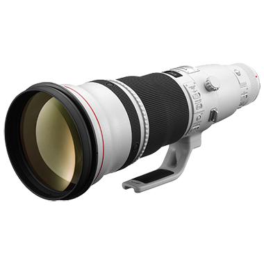 Canon EF 600mm F4L IS II USM