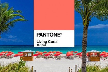 Pantone đã chọn Living Coral là màu xu hướng của năm 2019