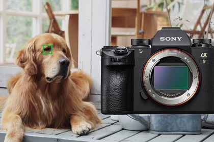 Sony a9 Firmware 6.0: thêm Animal Eye AF, Interval Timer và hơn thế nữa