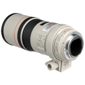 Canon EF 300mm F4L IS USM