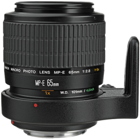 Canon MP-E 65mm F2.8 1-5x Macro
