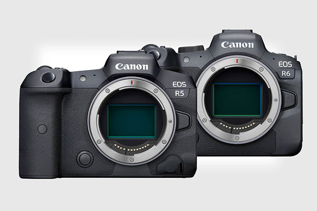 canon eos r5 and r6