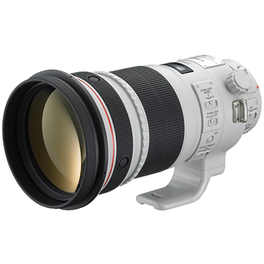 Canon EF 300mm F2.8L IS II USM