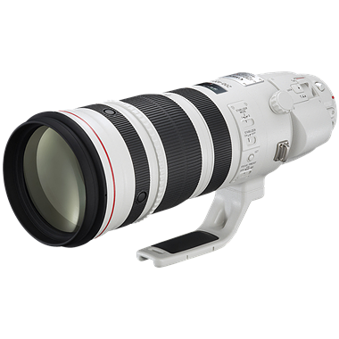 Canon EF 200-400mm F4L IS USM Extender 1.4x