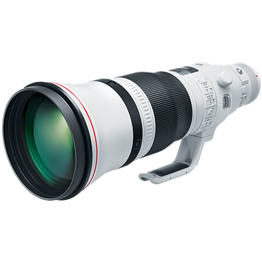 Canon EF 600mm F4L IS III USM