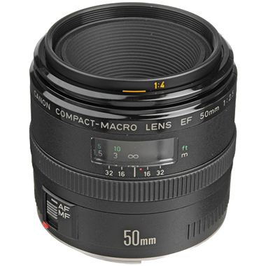 Canon EF 50mm F2.5 Macro