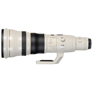 Canon EF 800mm F5.6L IS USM