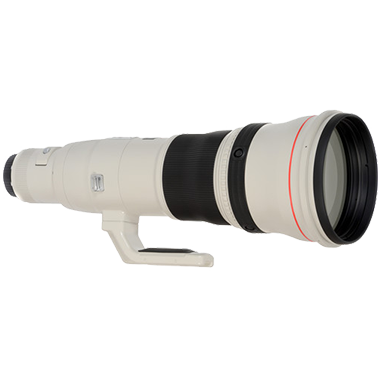 Canon EF 800mm F5.6L IS USM