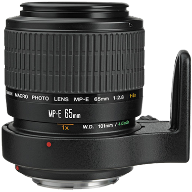 Canon MP-E 65mm F2.8 1-5x Macro