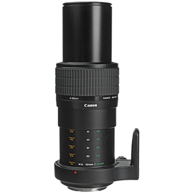 Canon MP-E 65mm F2.8 1-5x Macro