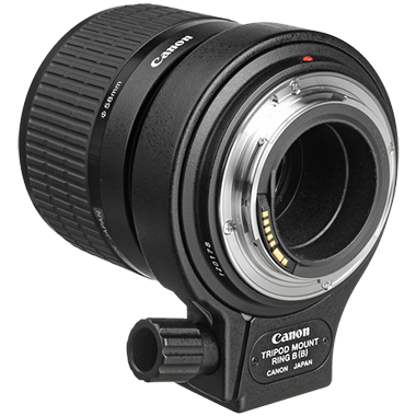 Canon MP-E 65mm F2.8 1-5x Macro