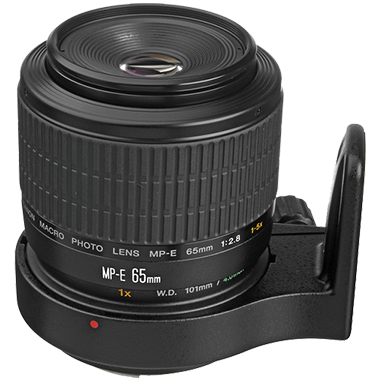 Canon MP-E 65mm F2.8 1-5x Macro
