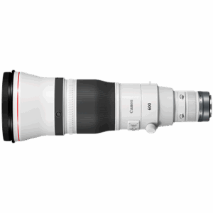 Canon RF 600mm F4L IS USM