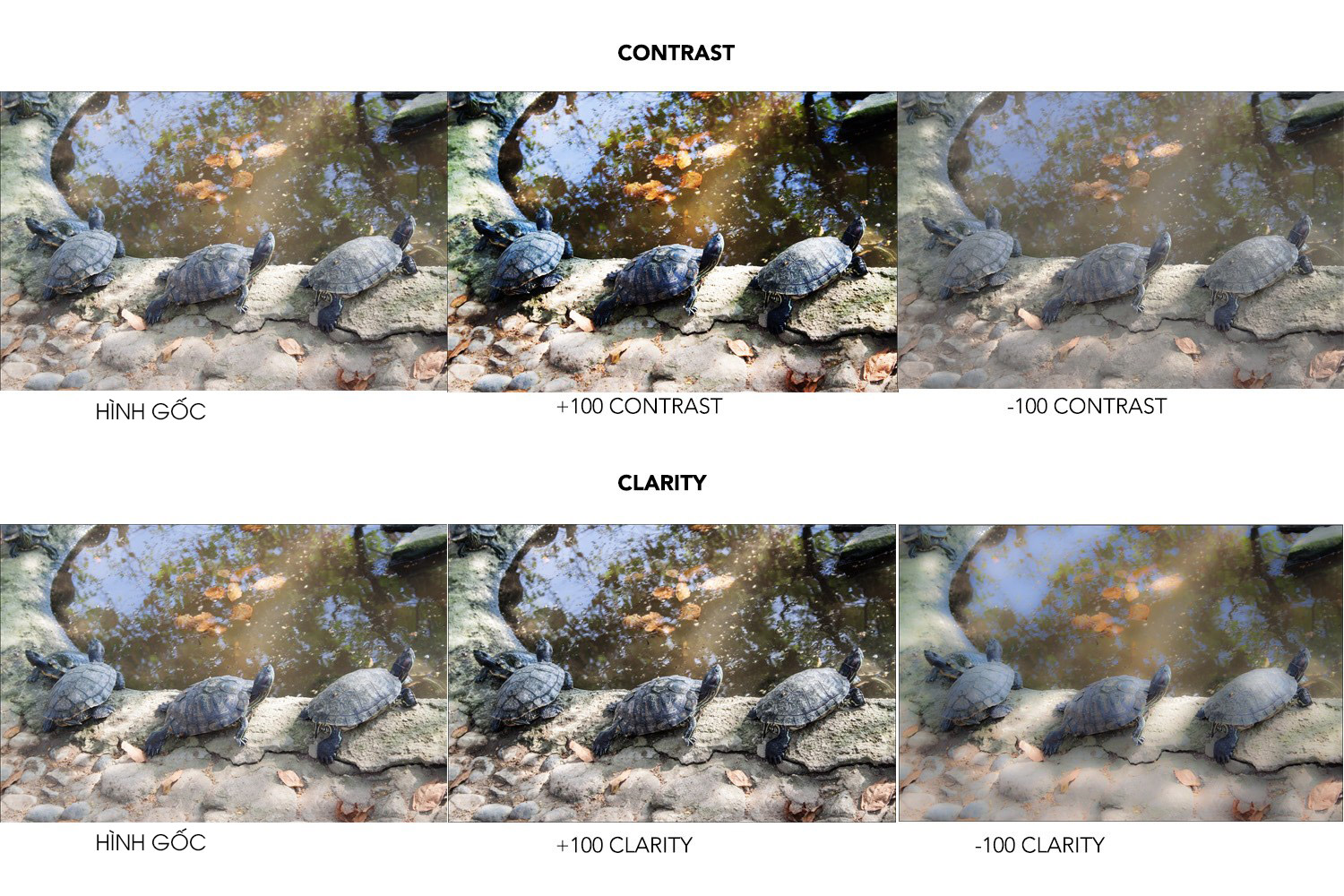 huong dan adobe camera raw cho nguoi moi 4