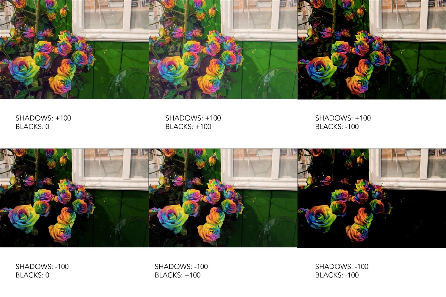 huong dan adobe camera raw cho nguoi moi 9