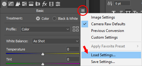 camera raw filter