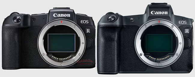 canon eos rp vs r