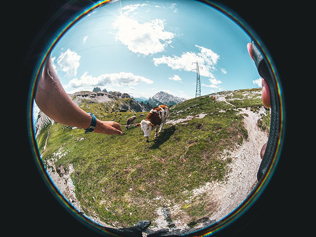 venus optics lens 4mm sample 3