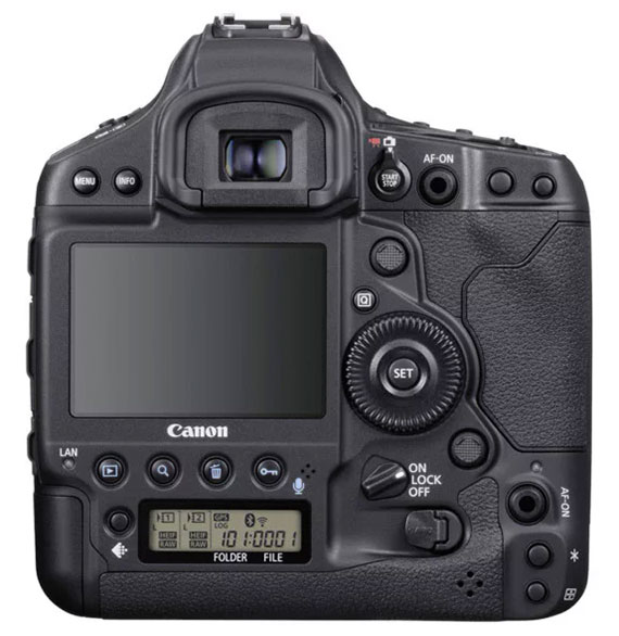 back view