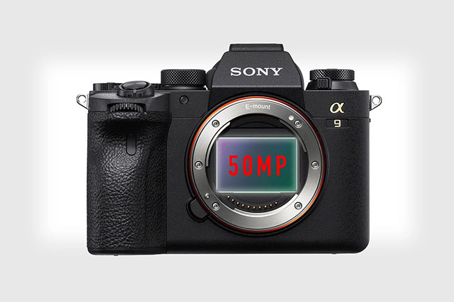 sony a9 50mp